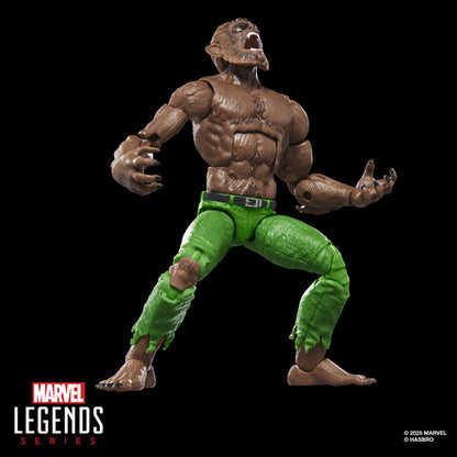 Pre Order Hasbro Collectibles - Marvel Comics - Marvel Legends - Werewolf by Night Action Figure