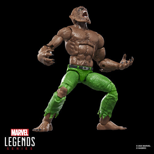 Pre Order Hasbro Collectibles - Marvel Comics - Marvel Legends - Werewolf by Night Action Figure