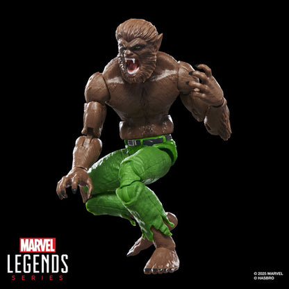 Pre Order Hasbro Collectibles - Marvel Comics - Marvel Legends - Werewolf by Night Action Figure
