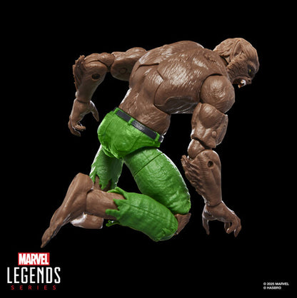 Pre Order Hasbro Collectibles - Marvel Comics - Marvel Legends - Werewolf by Night Action Figure