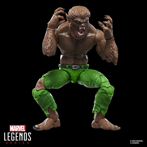 Pre Order Hasbro Collectibles - Marvel Comics - Marvel Legends - Werewolf by Night Action Figure