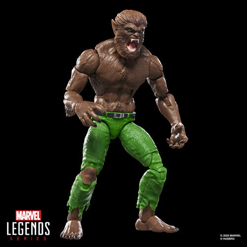 Pre Order Hasbro Collectibles - Marvel Comics - Marvel Legends - Werewolf by Night Action Figure