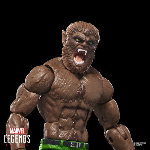 Pre Order Hasbro Collectibles - Marvel Comics - Marvel Legends - Werewolf by Night Action Figure