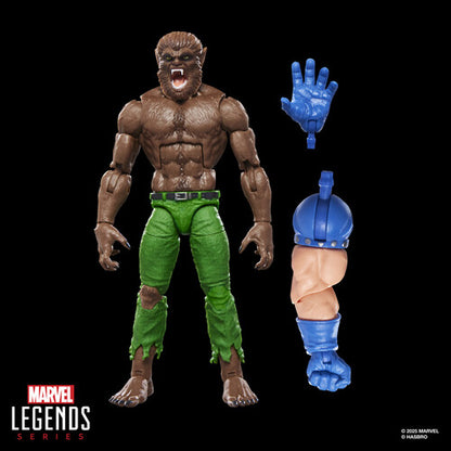 Pre Order Hasbro Collectibles - Marvel Comics - Marvel Legends - Werewolf by Night Action Figure